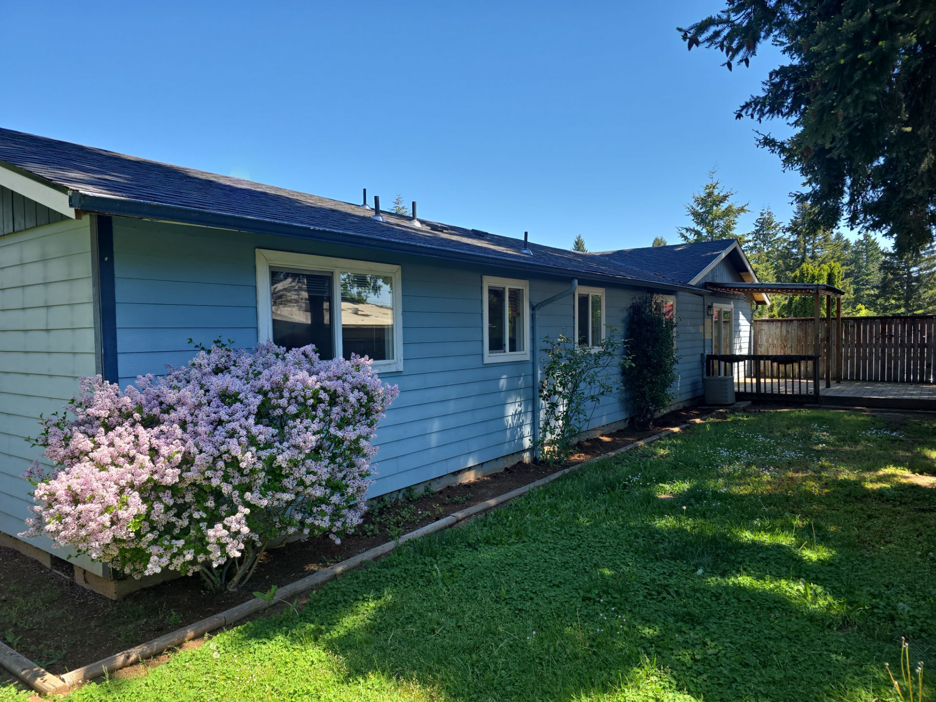 Single-story blue house with white-trimmed windows, a blooming pink shrub, green lawn, and a wooden deck with a fence in the background, under a clear sky.