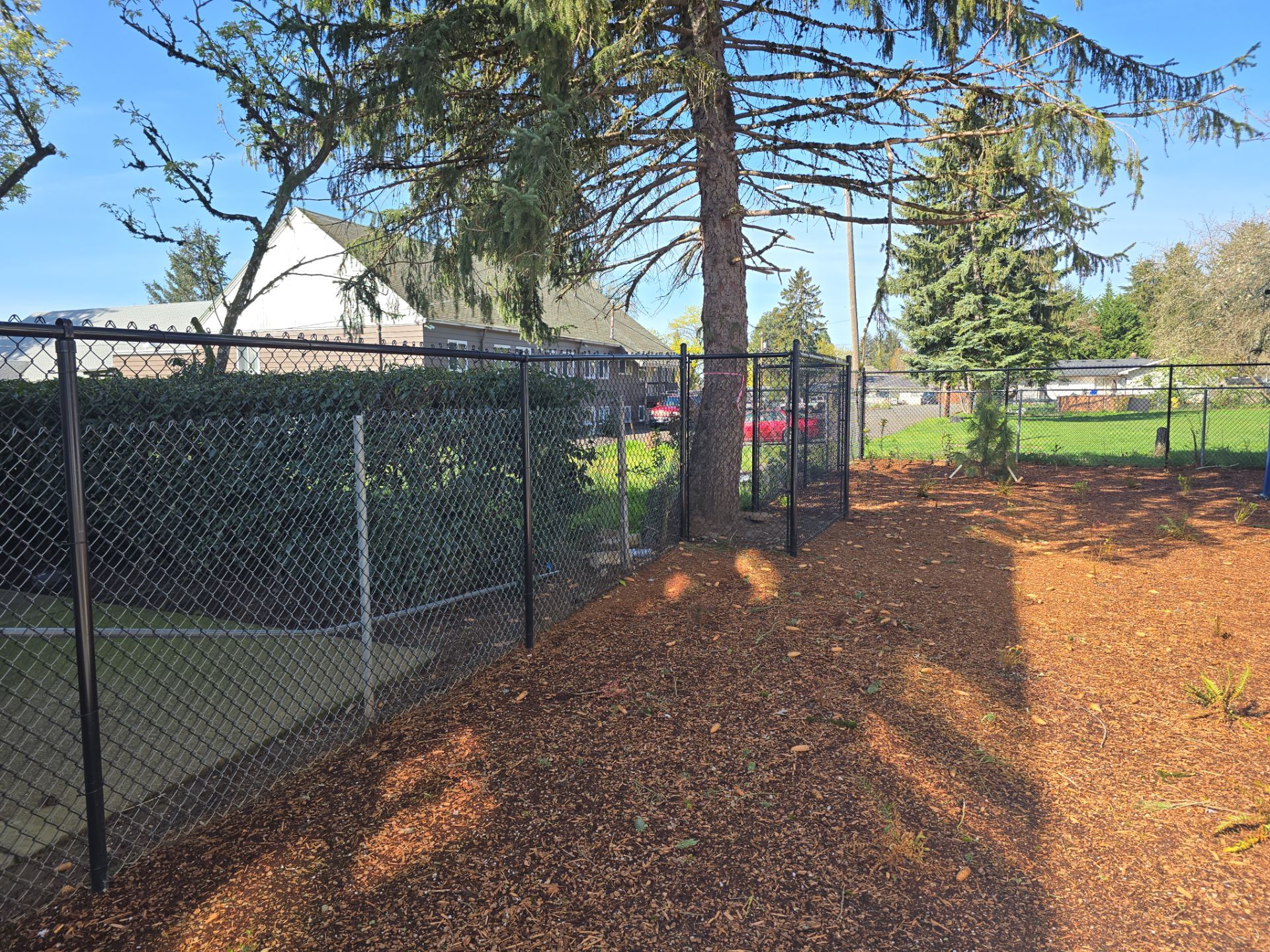 Chain-link fence runs alongside a mulched area with trees; houses and street visible in the background under a clear sky.